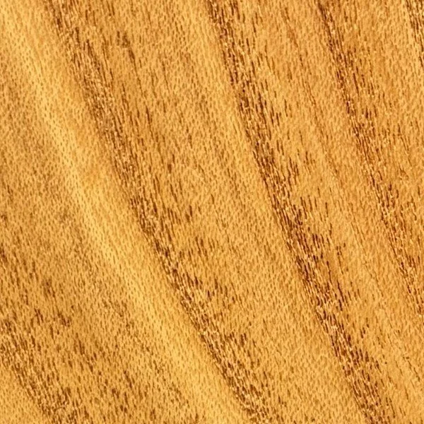 honey-locust_swatch.jpg