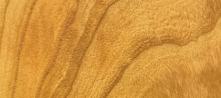 Detail of Cherry grain — figured wood texture, photographed at Raw Heartwood