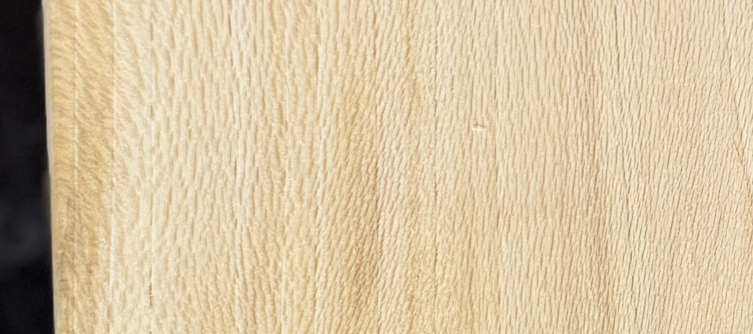 sycamore_strip.jpg