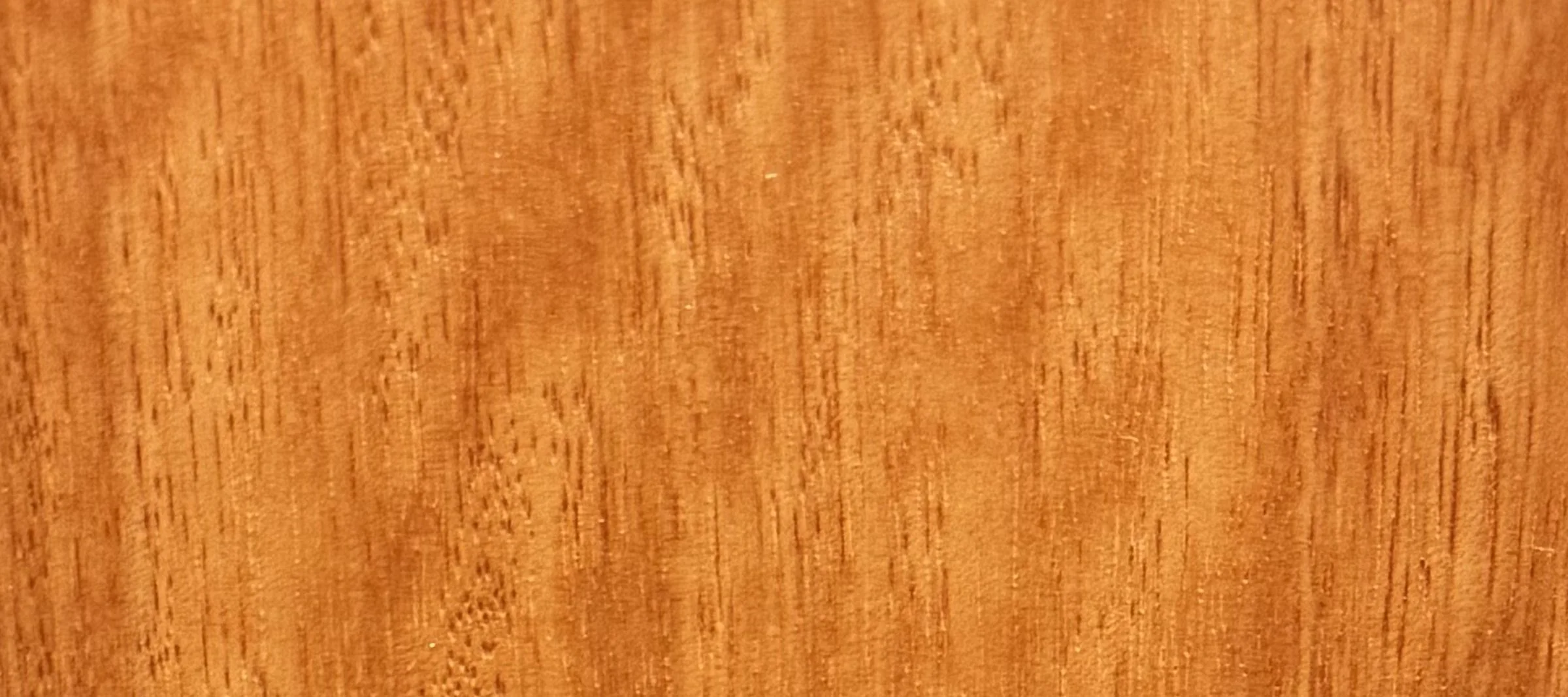 eucalyptus_strip.jpg