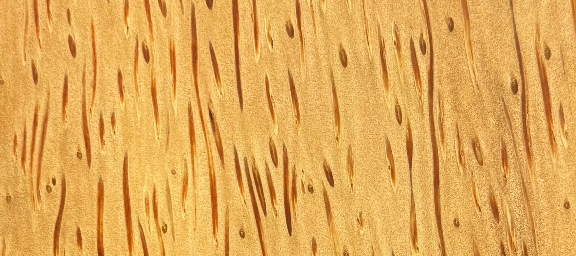 coconut_strip.jpg