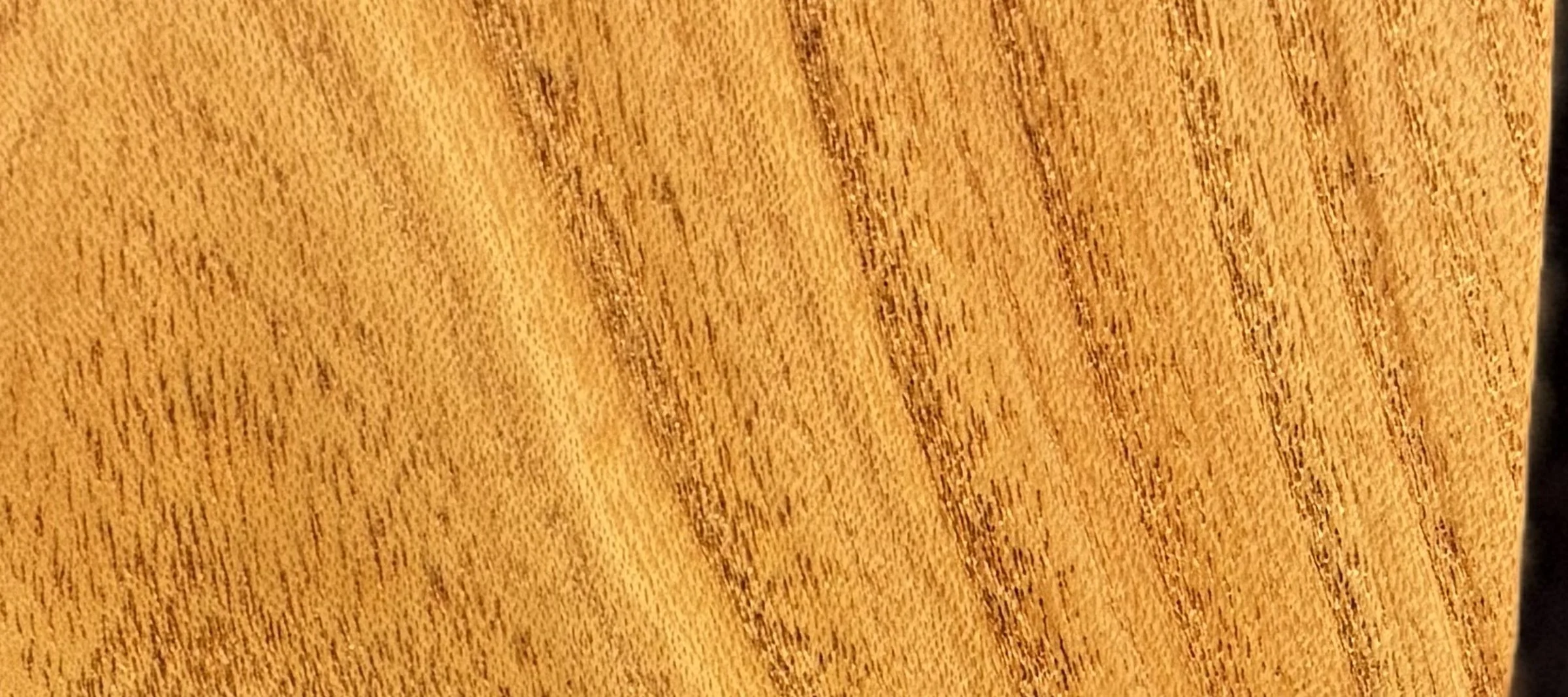 honey-locust_strip.jpg