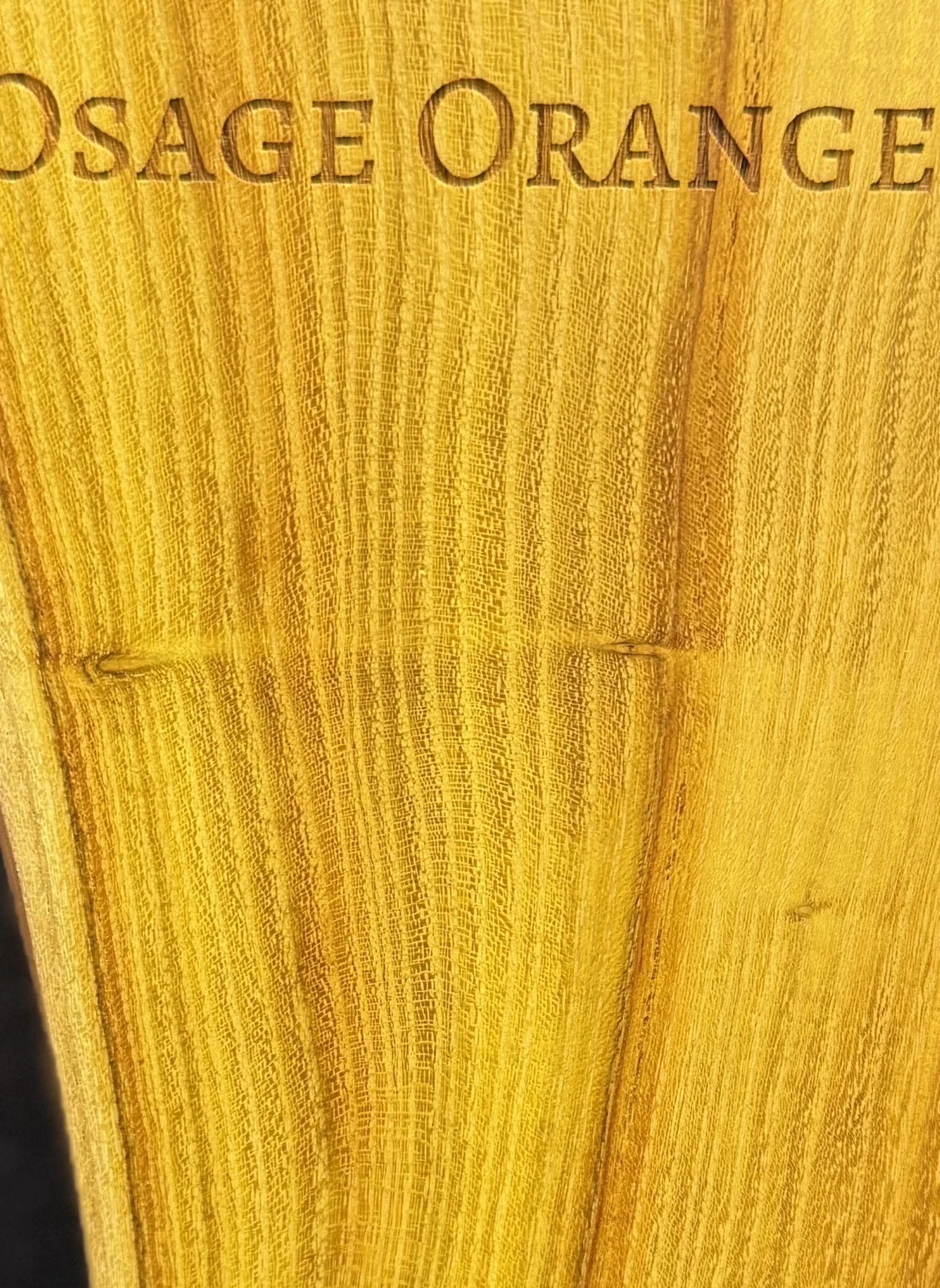 osage-orange_detail.jpg