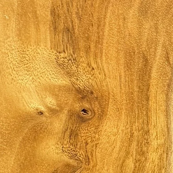 mappa-burl_swatch.jpg
