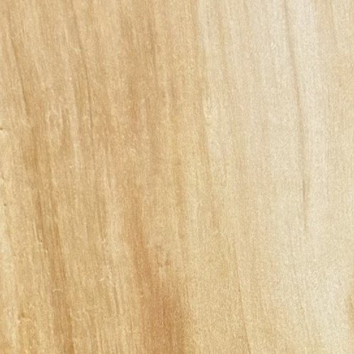 Heartwood color detail of Box Elder (Acer negundo)