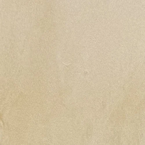 Heartwood color detail of Cottonwood (Populus deltoides)