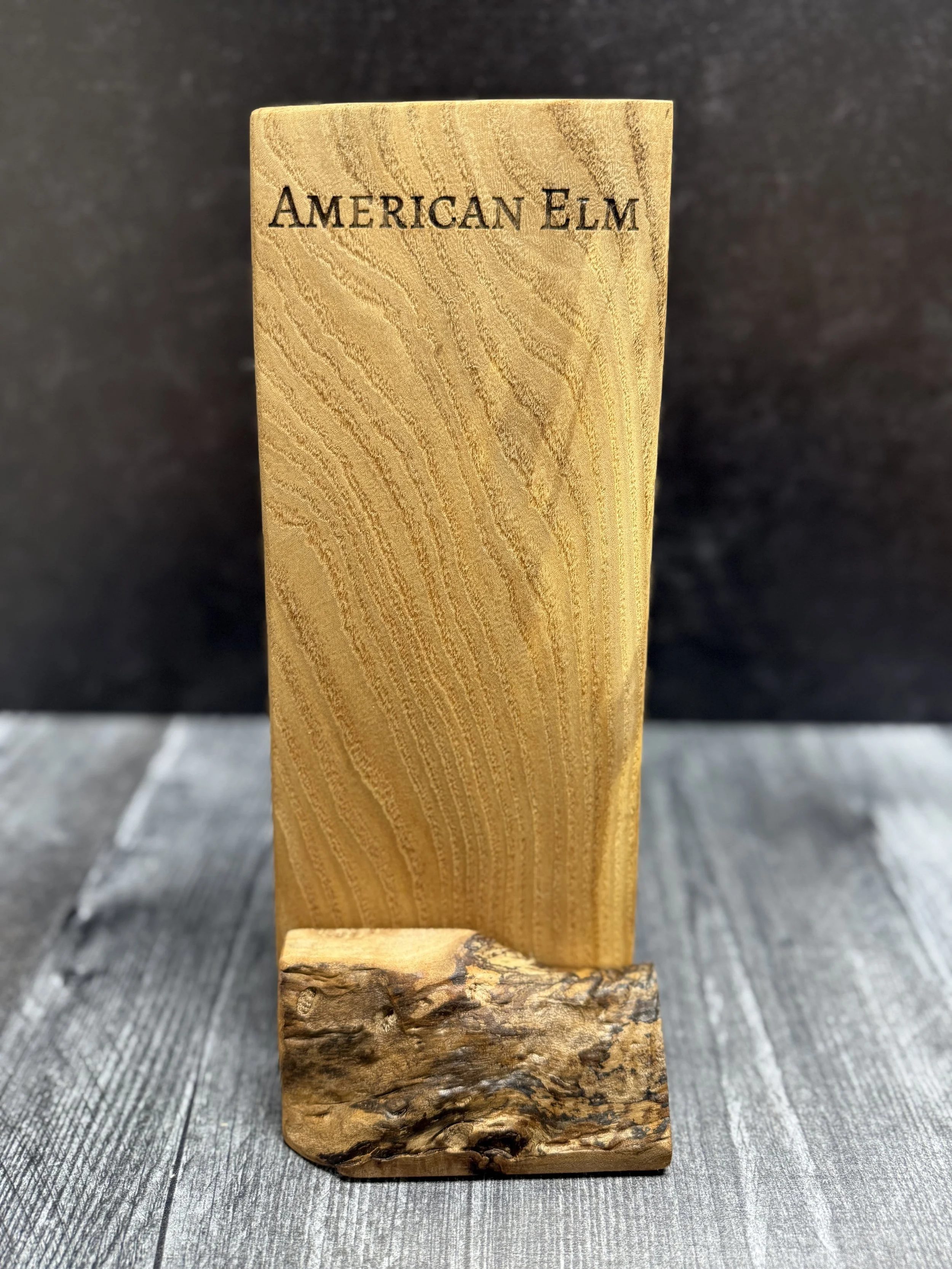 American Elm.jpg