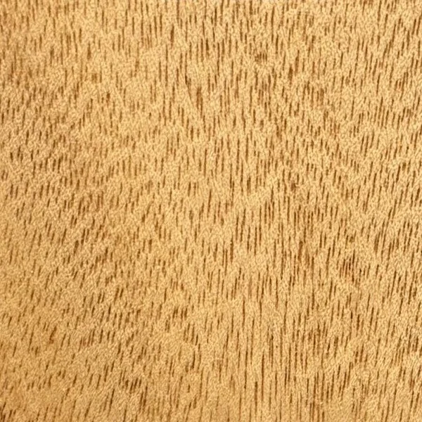 queensland-maple_swatch.jpg