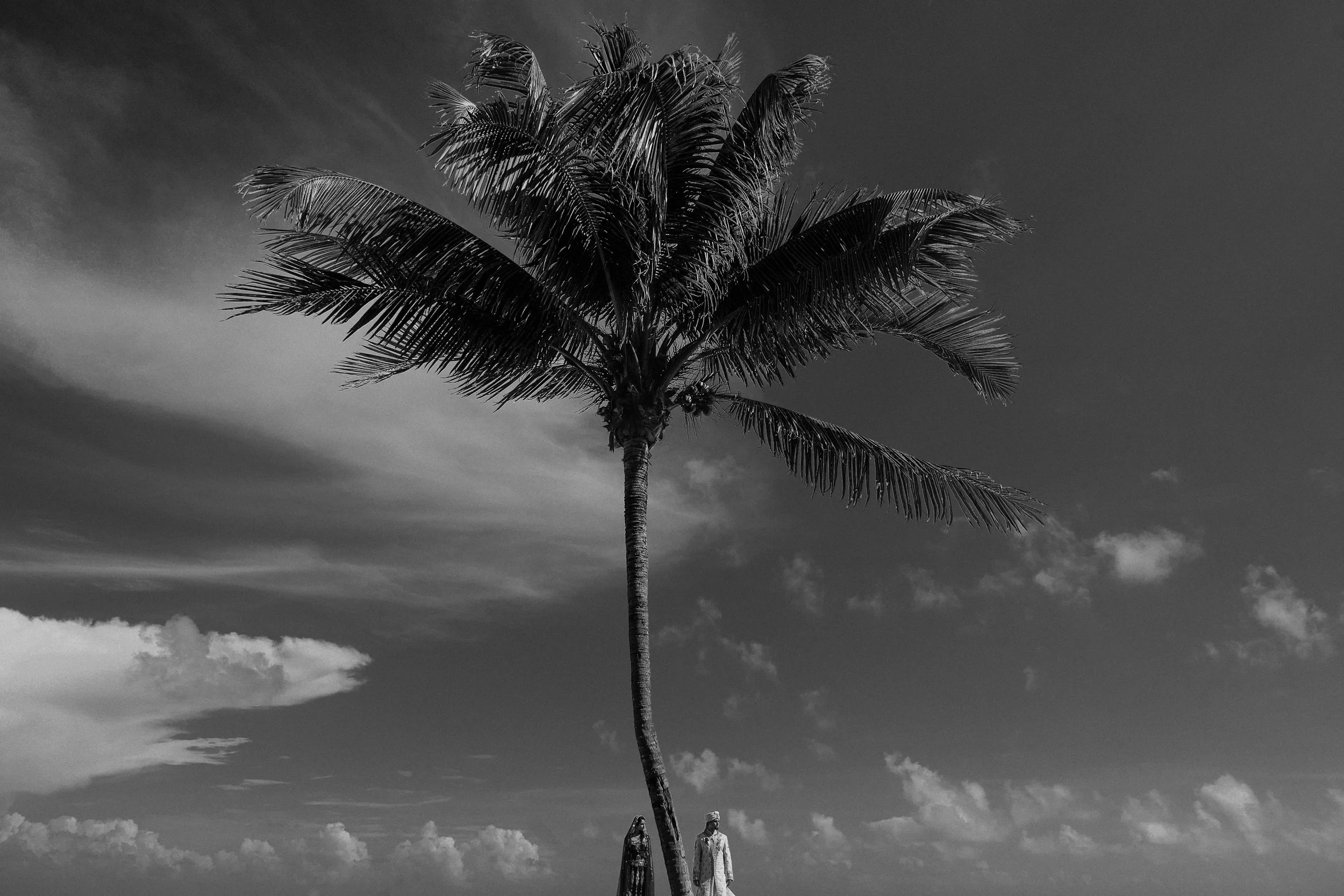 ApurvaandRachna  1360.jpg