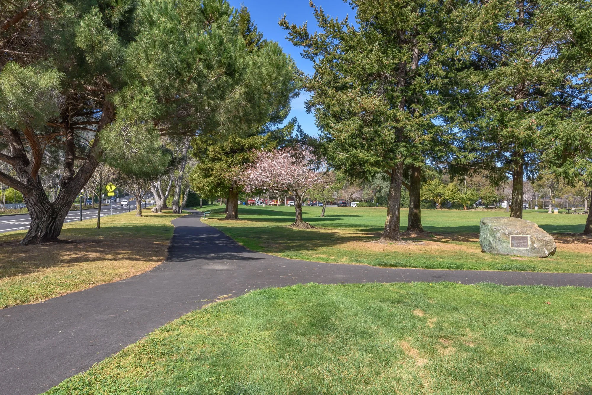 Corte Madera — Karen Fairty