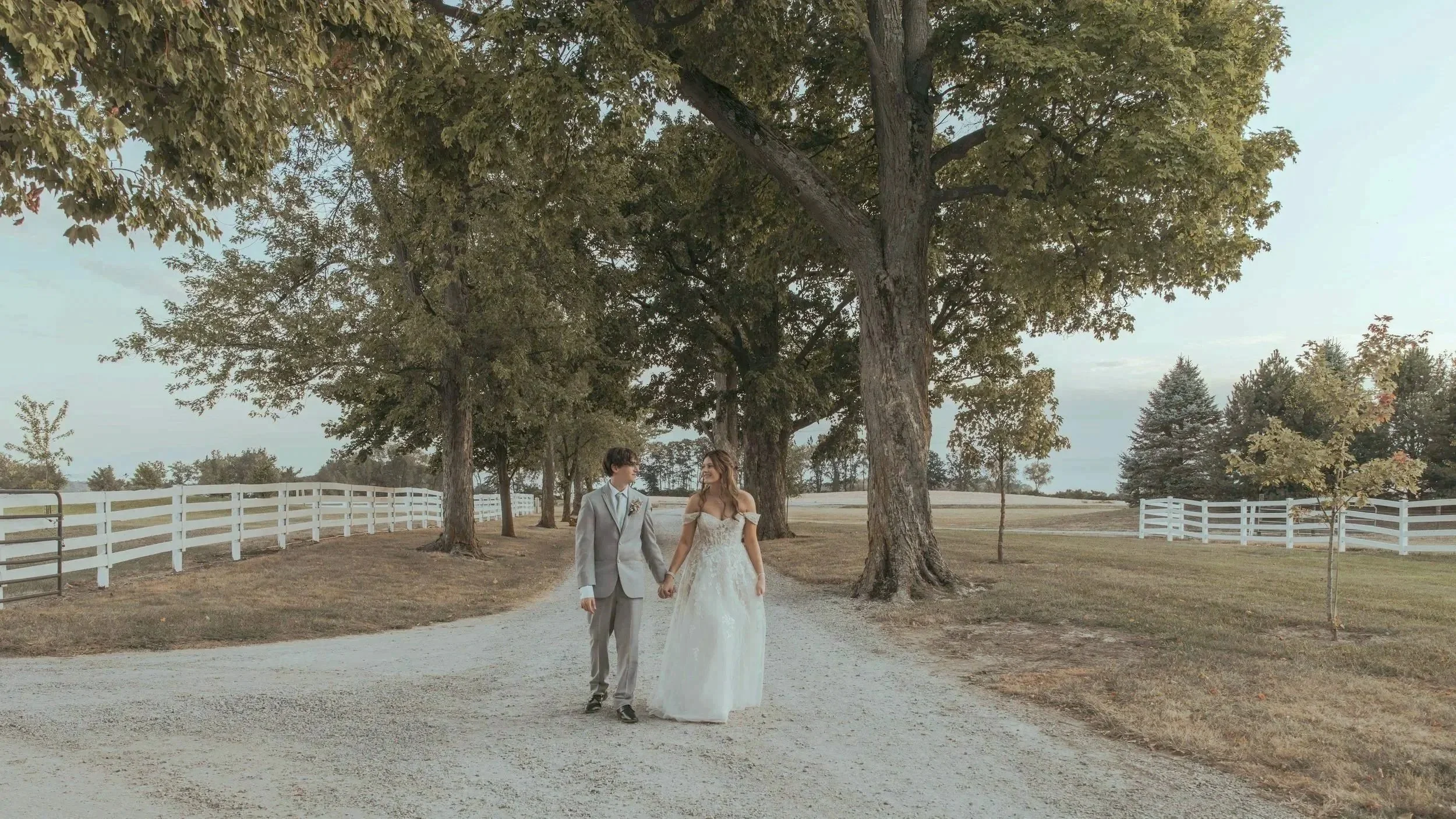 Maple tree lane ceremony and photo location at Maple Lane Farm in Urbana, Ohio