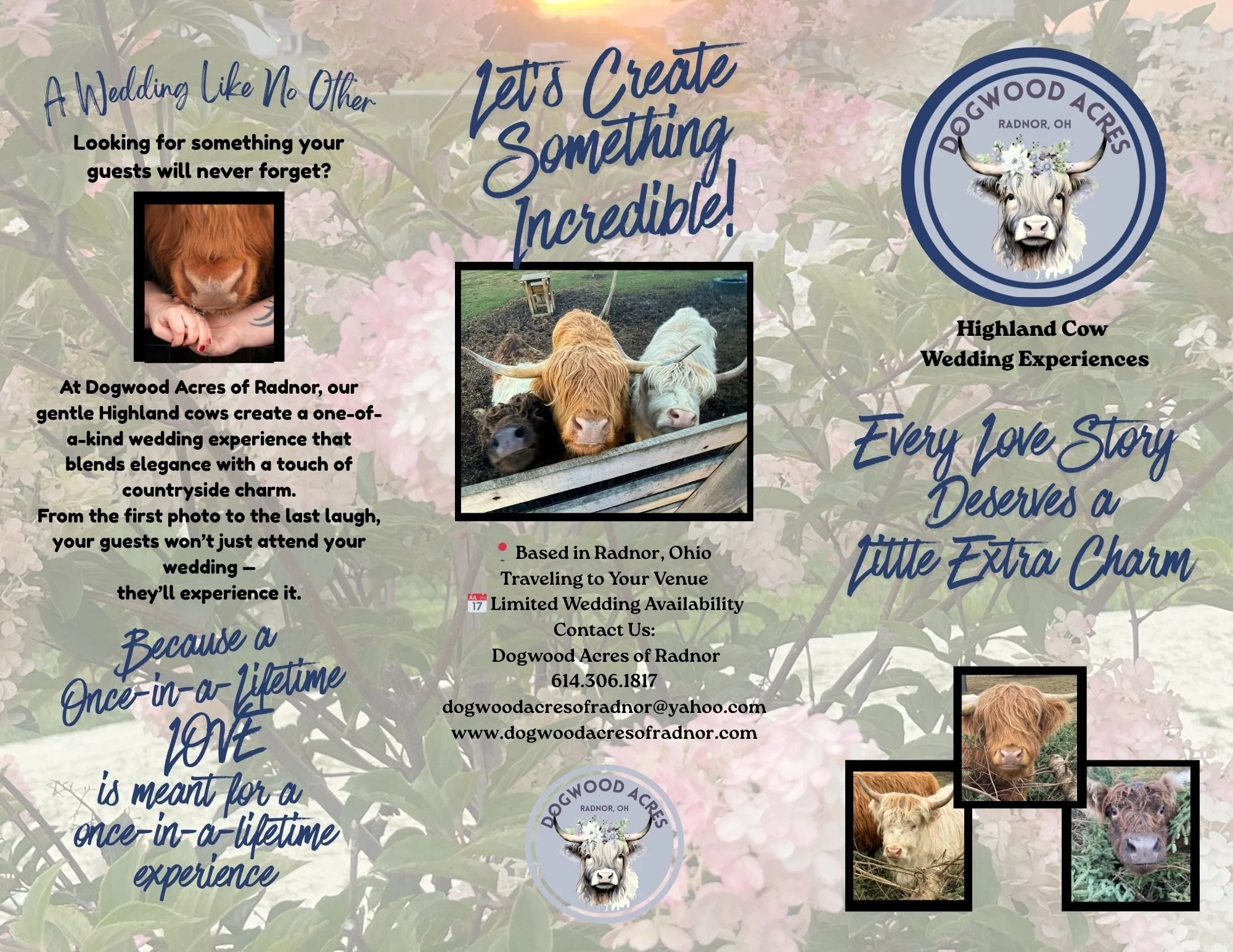 Flyer for Dogwood Acres of Radnor in Radnor, Ohio, promoting a wedding experience with Highland cows, featuring a photo of a Highland cow's face and several smaller photos of the cows on a farm. The background has pink and white flowers with blue text.