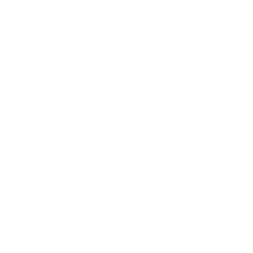 The Bridge 