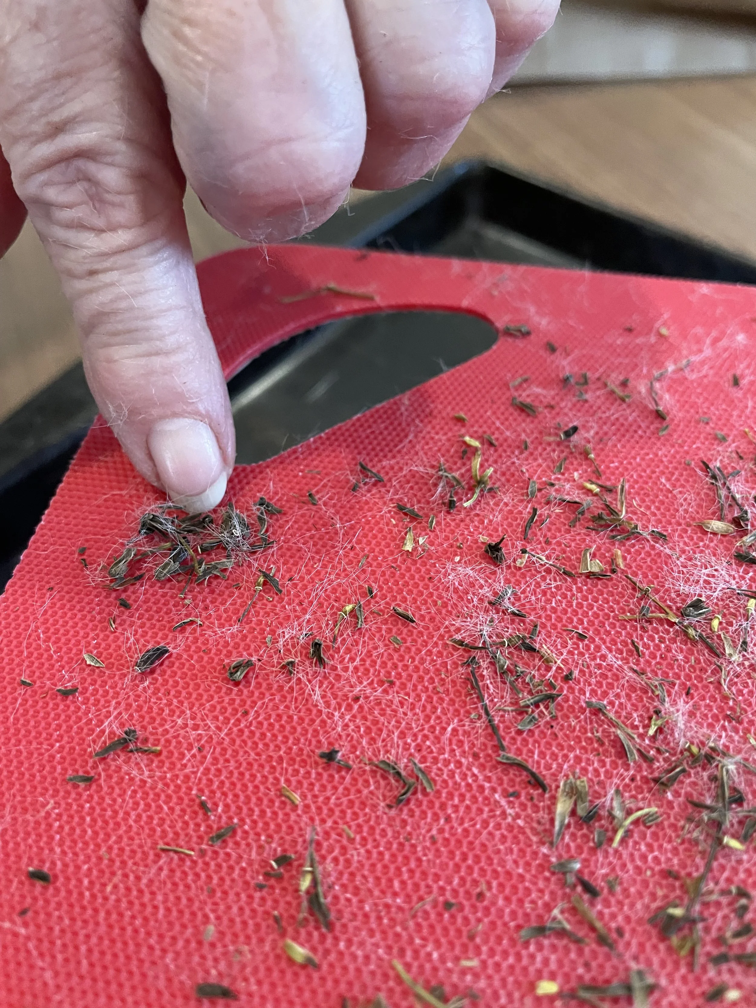 feb16 lind g doing native seeds.jpeg