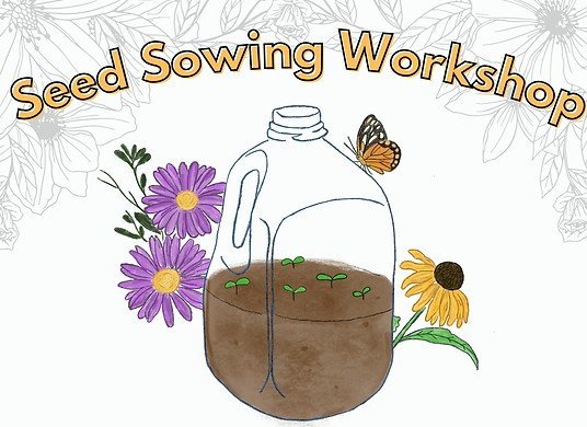 Winter Seed Sowing with Cake Cisma