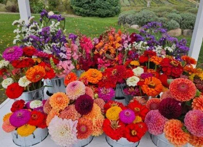 Flowers on the Farm at Lavender Hill