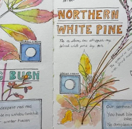 Nature Journaling Class