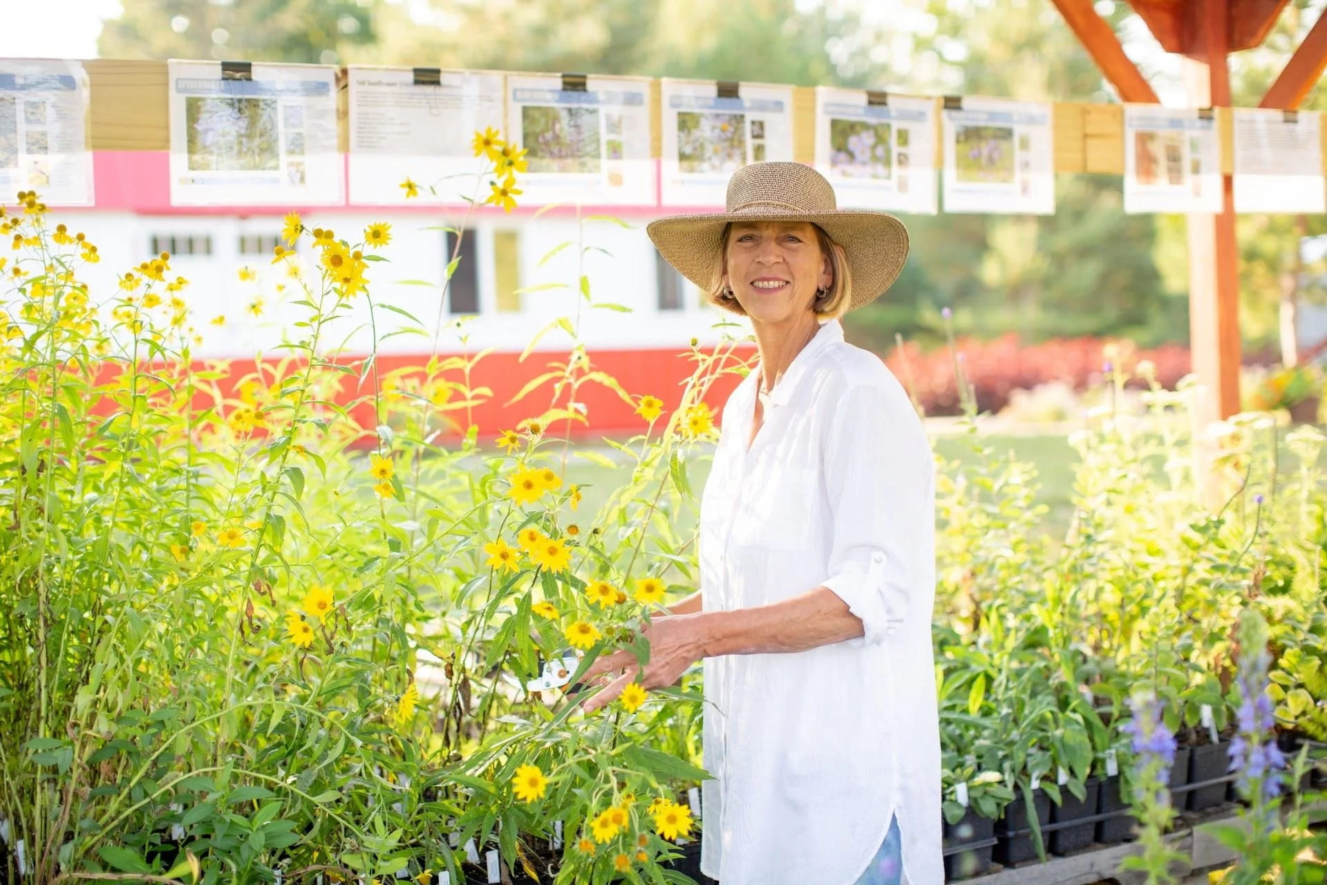 Getting Started with Native Plants