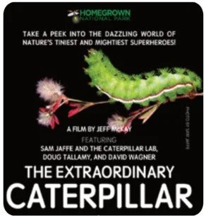 Screening of  "The Extraordinary Caterpillar"