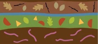 Master Composting Course-5 sessions