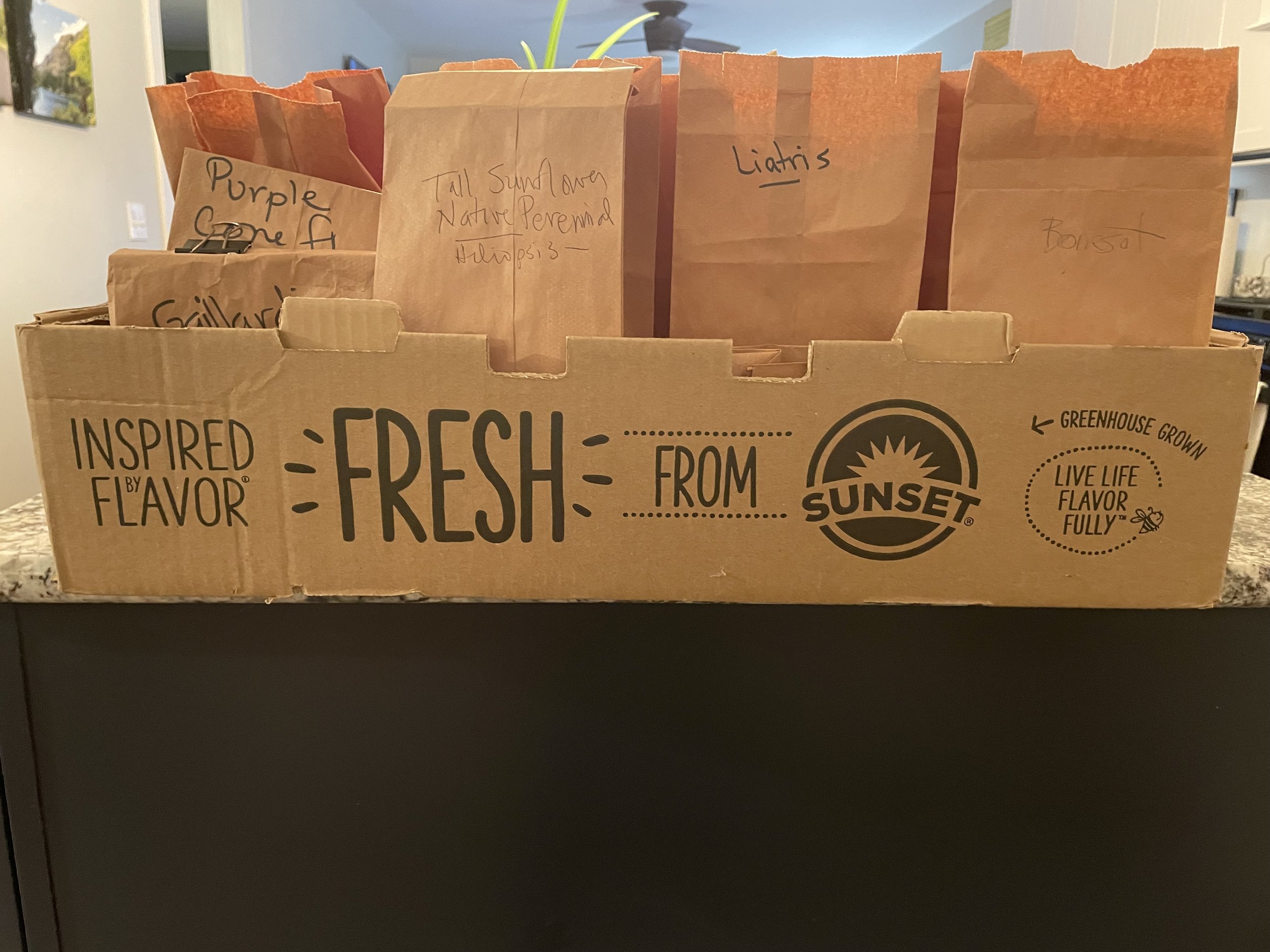 box of seed bags.jpg