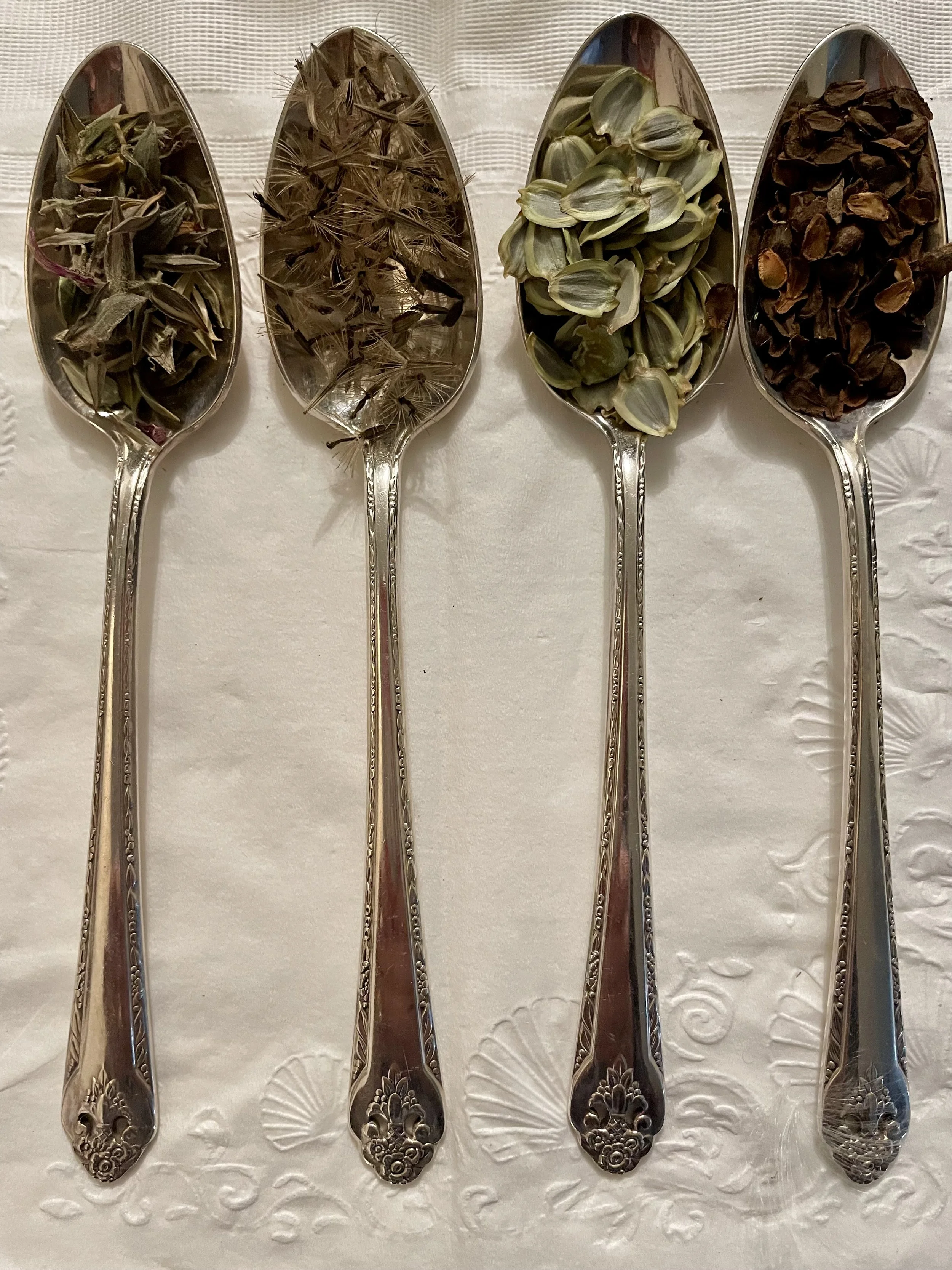 seeds in a teaspoon.jpg