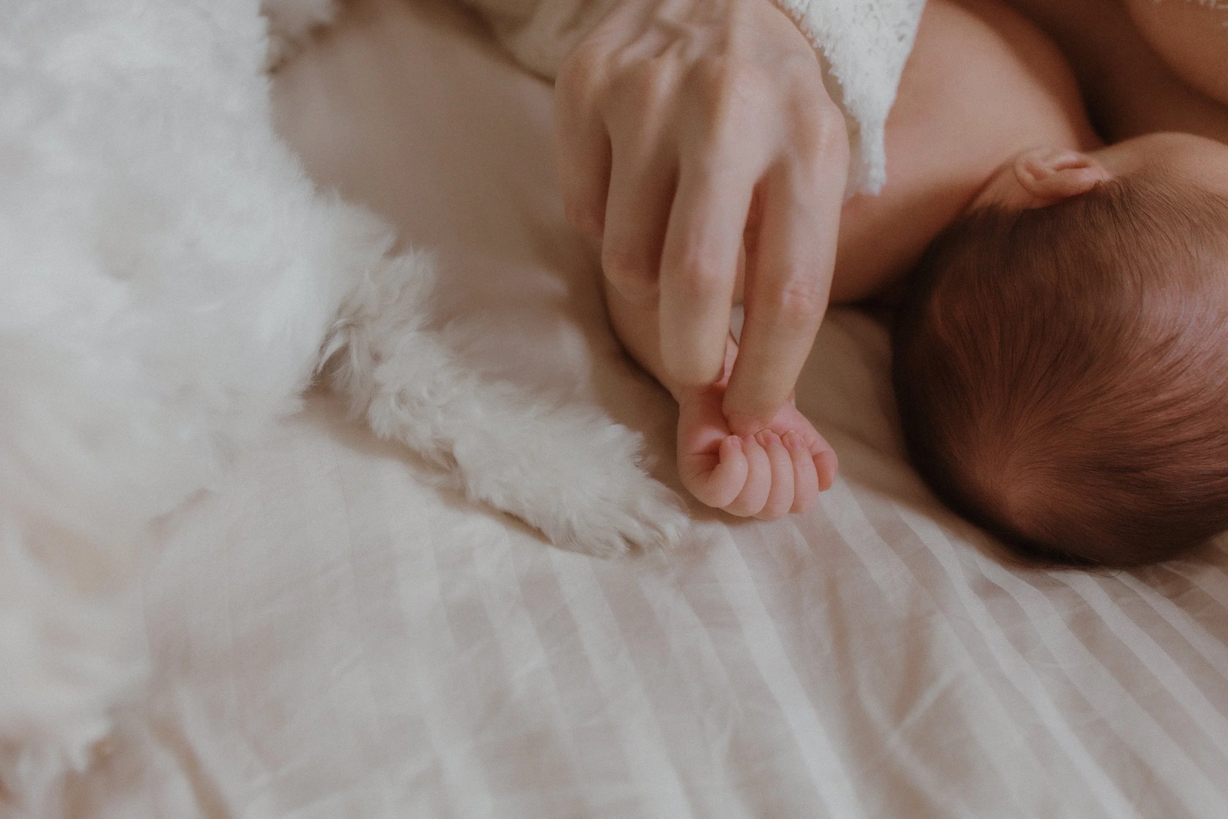 cosy-newborn-photoshoot-hertfordshire-kimrosephotography (42).jpg