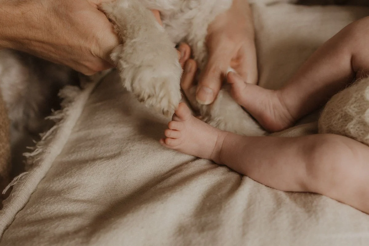 biggleswade-newborn-photographer-kimrosephotography (127).jpg
