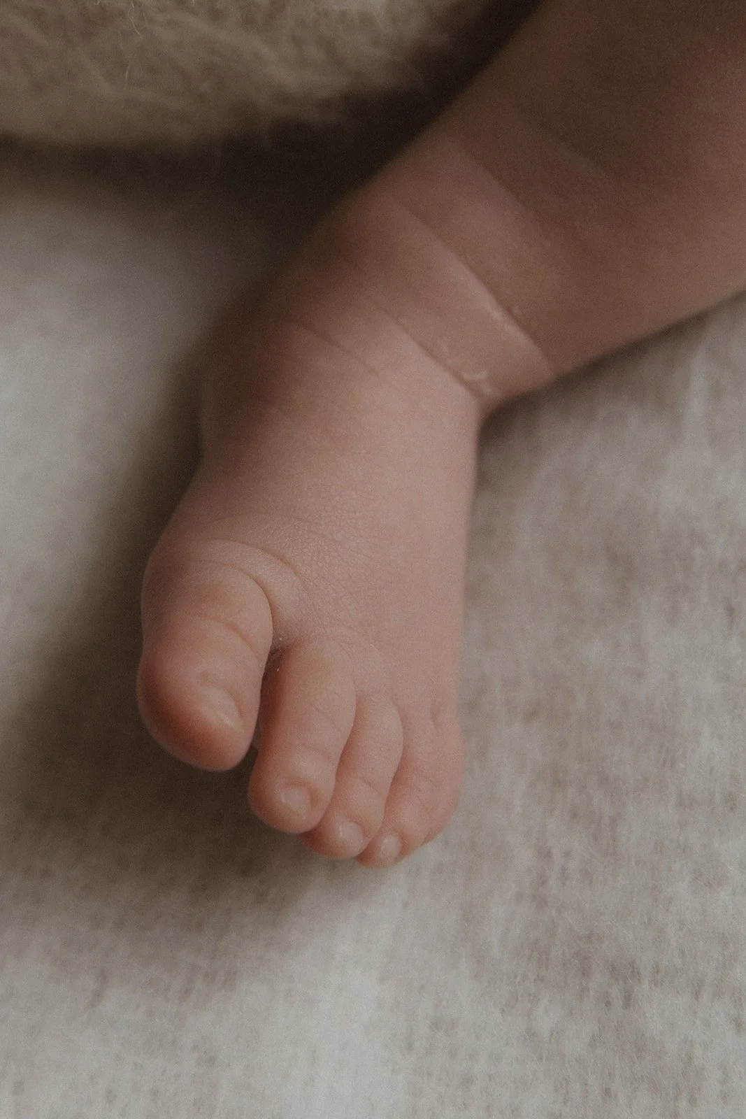 hertfordshire-newborn-baby-photographer-kimrosephotography (93).jpg