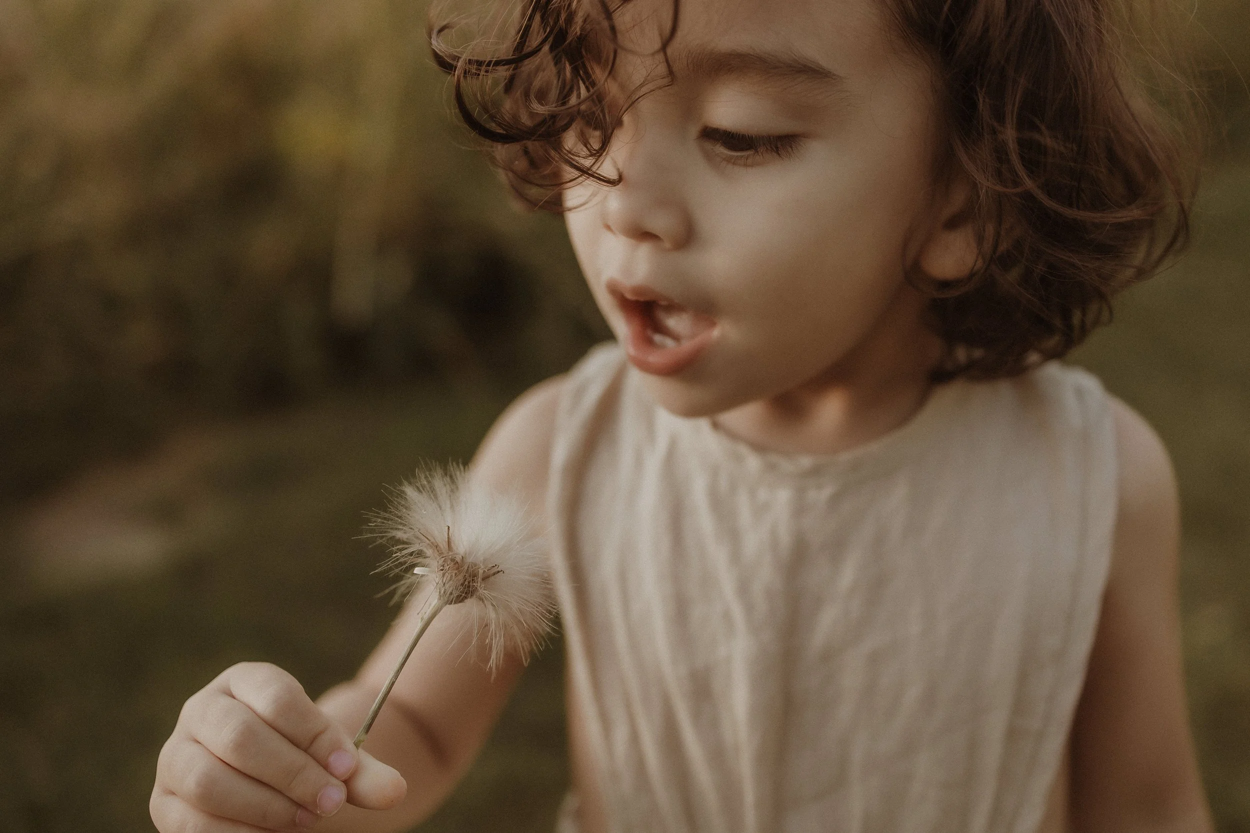 A young child with curly hair holding and examining a dandelion puff outside.