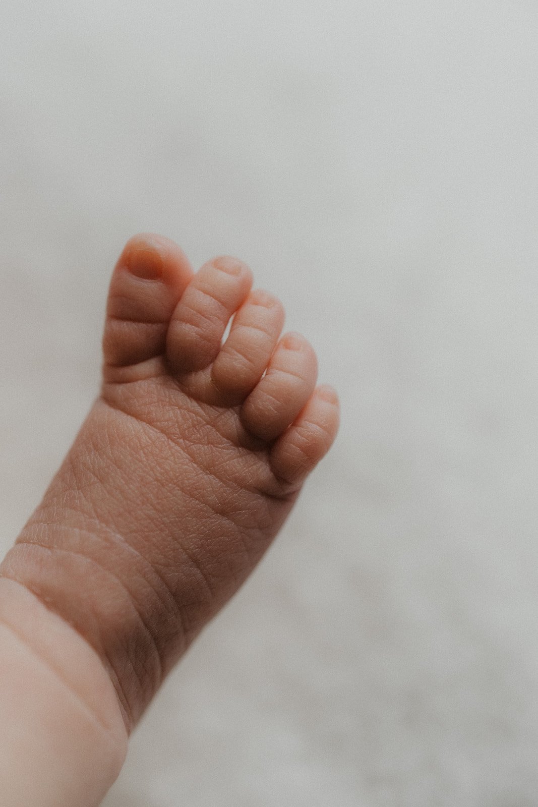 hertfordshire-studio-newborn-photoshoot-kimrosephotography (29).jpg