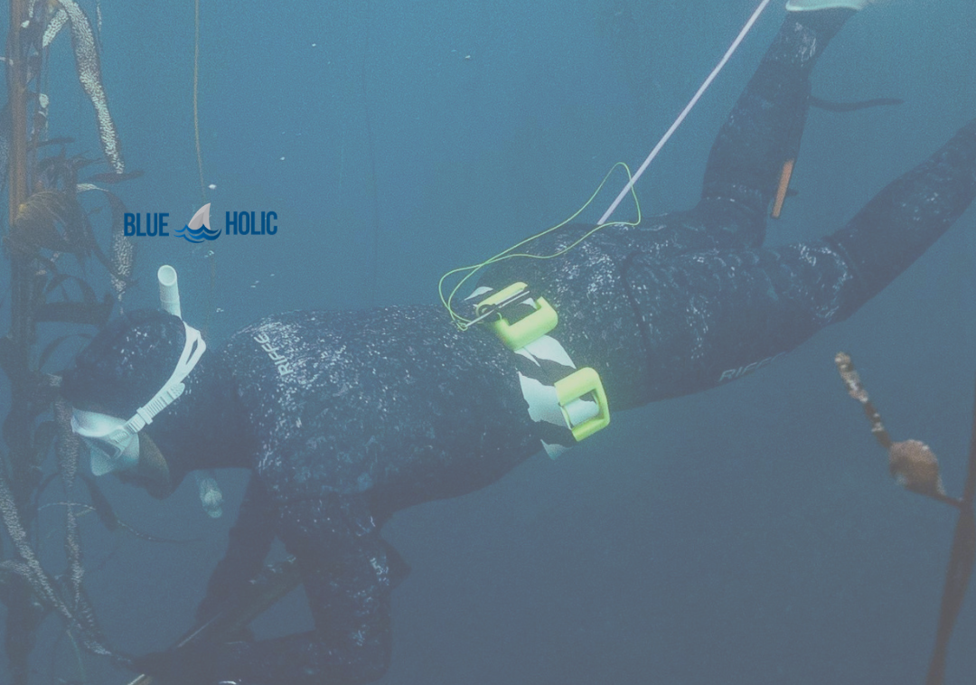 Intro to Spearfishing Online Course
