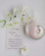 Screen Shot 2024-05-03 at 2.14.23 PM.png