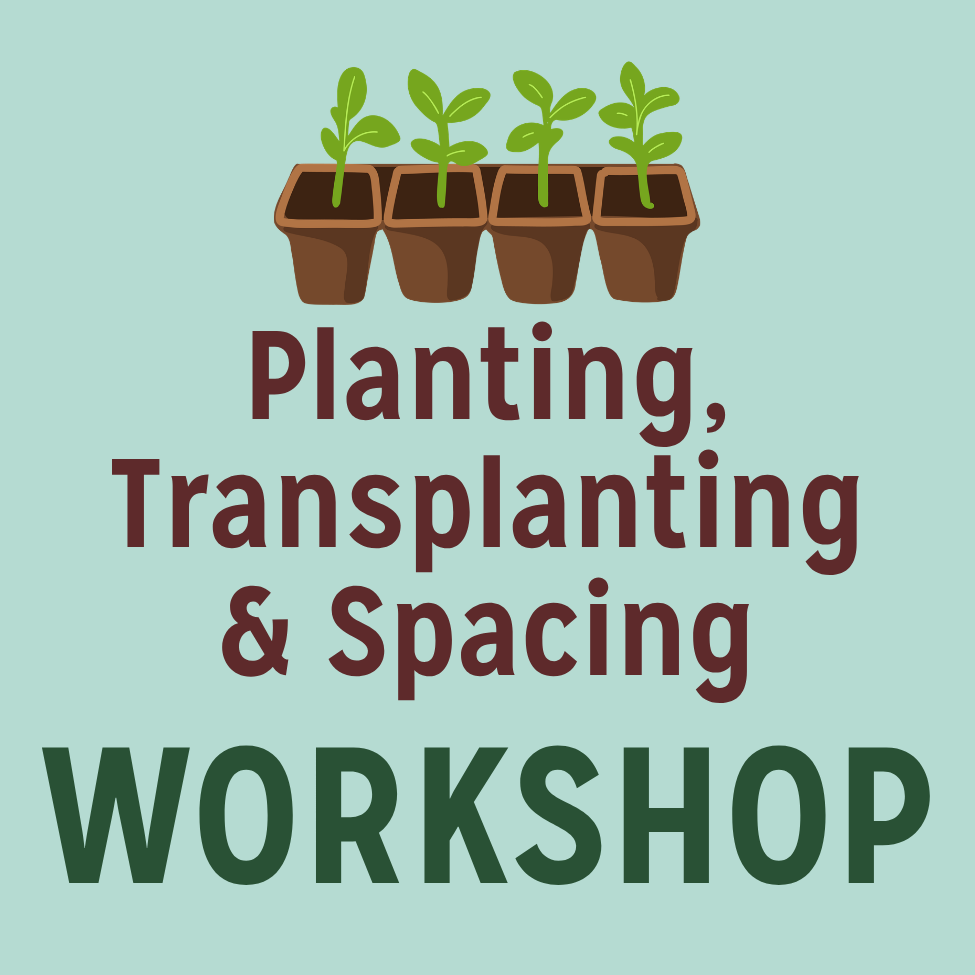 Planting, Transplanting & Spacing Workshop