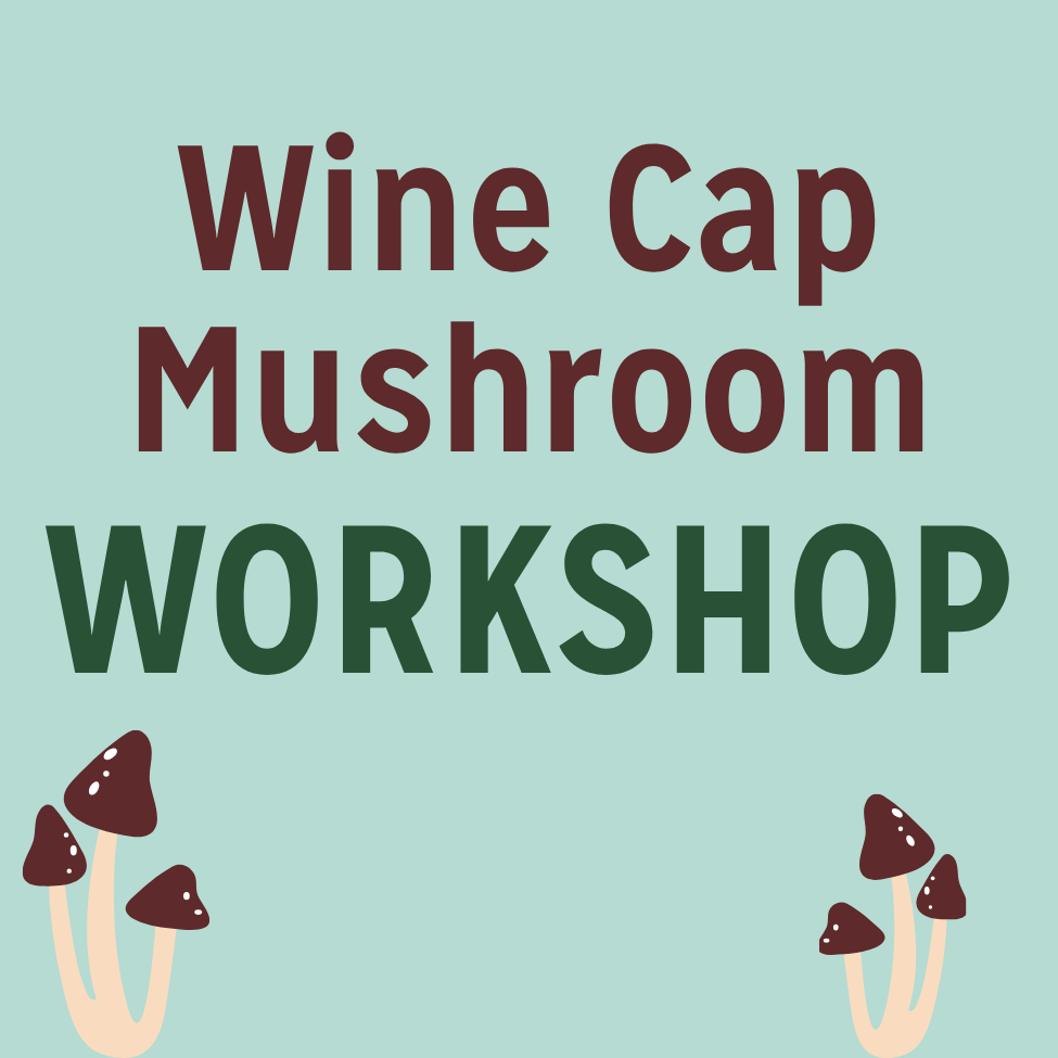 Workshop: Growing Wine Cap Mushrooms