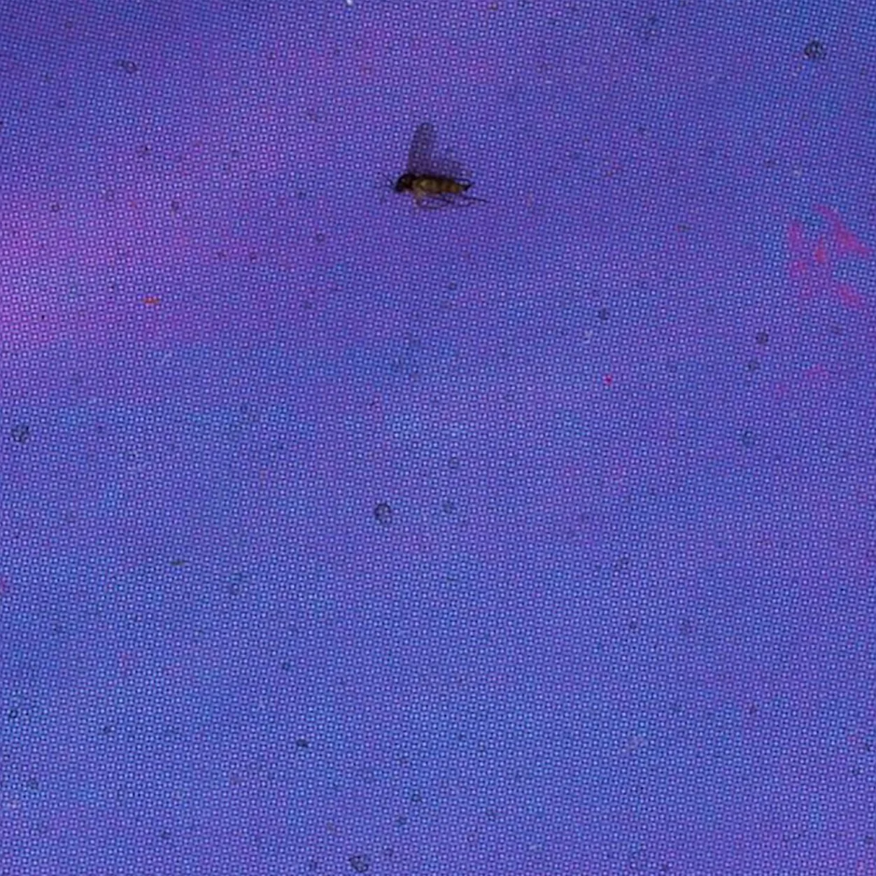 Screen Shot 2023-08-08 at 4.30.24 PM.jpg