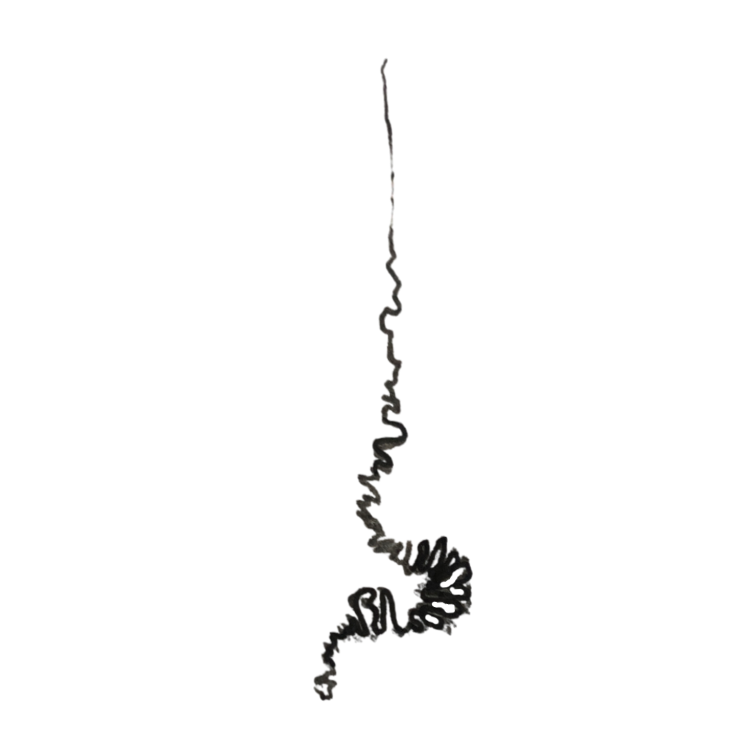 Blank (47).png