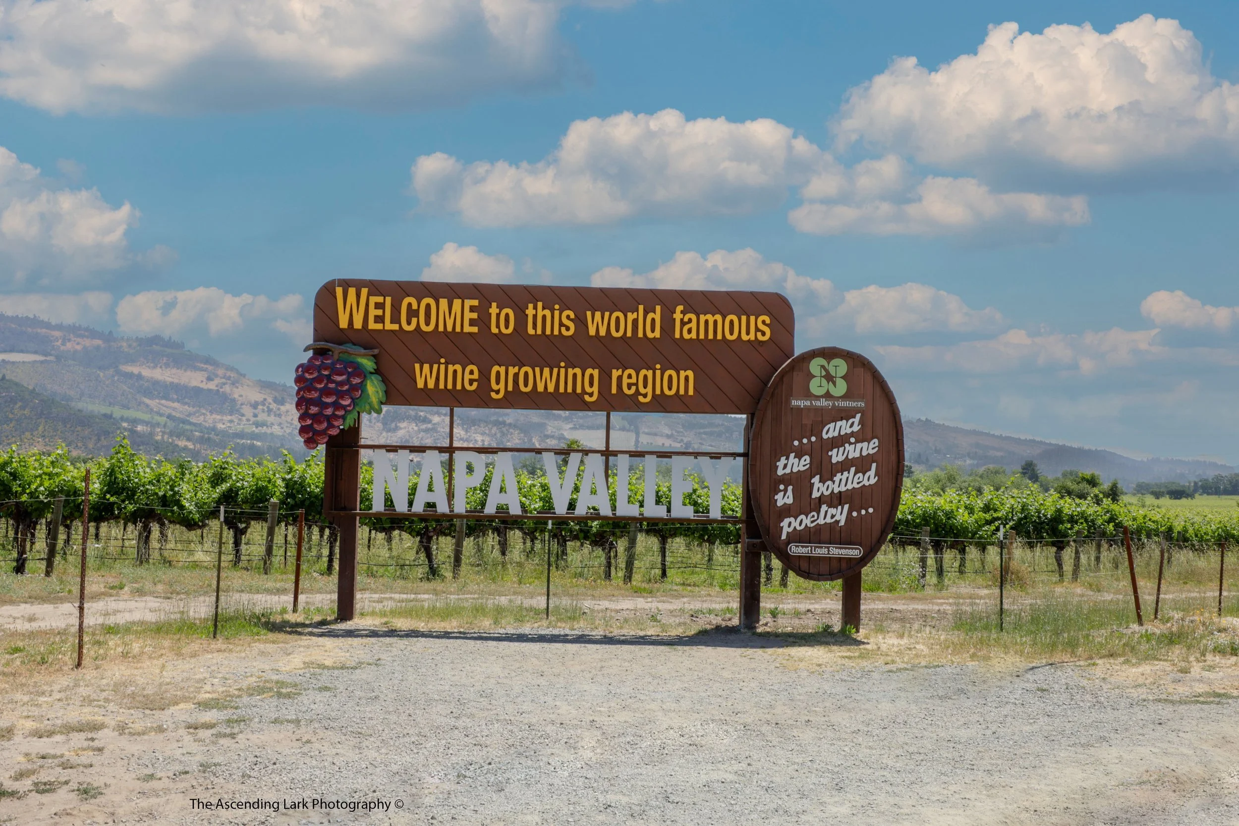 Adversity-2617 copy.jpg