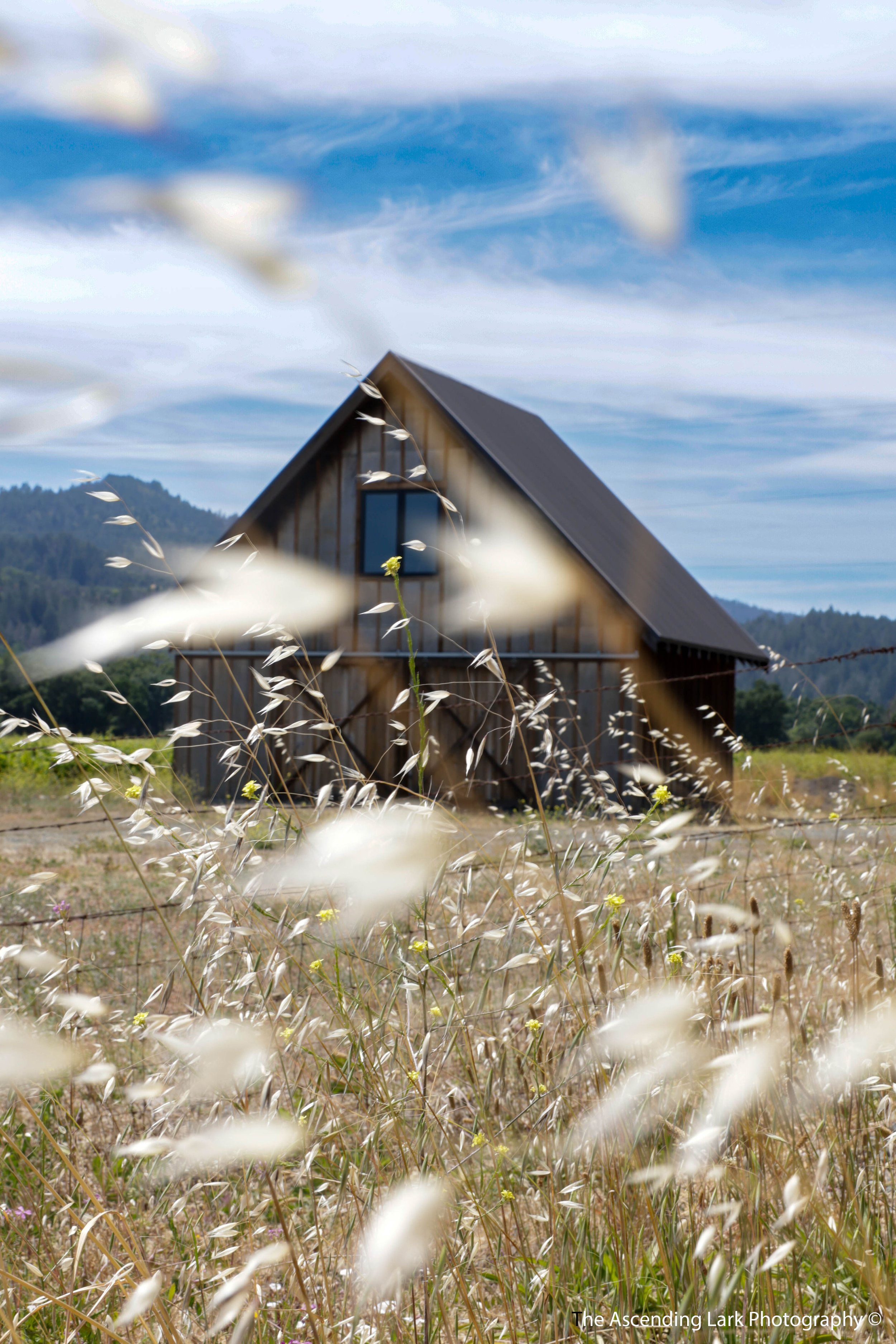 Adversity-5692 copy1.jpg