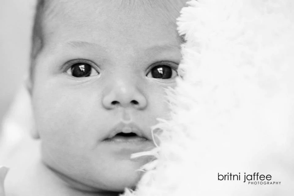 Baby Portraits