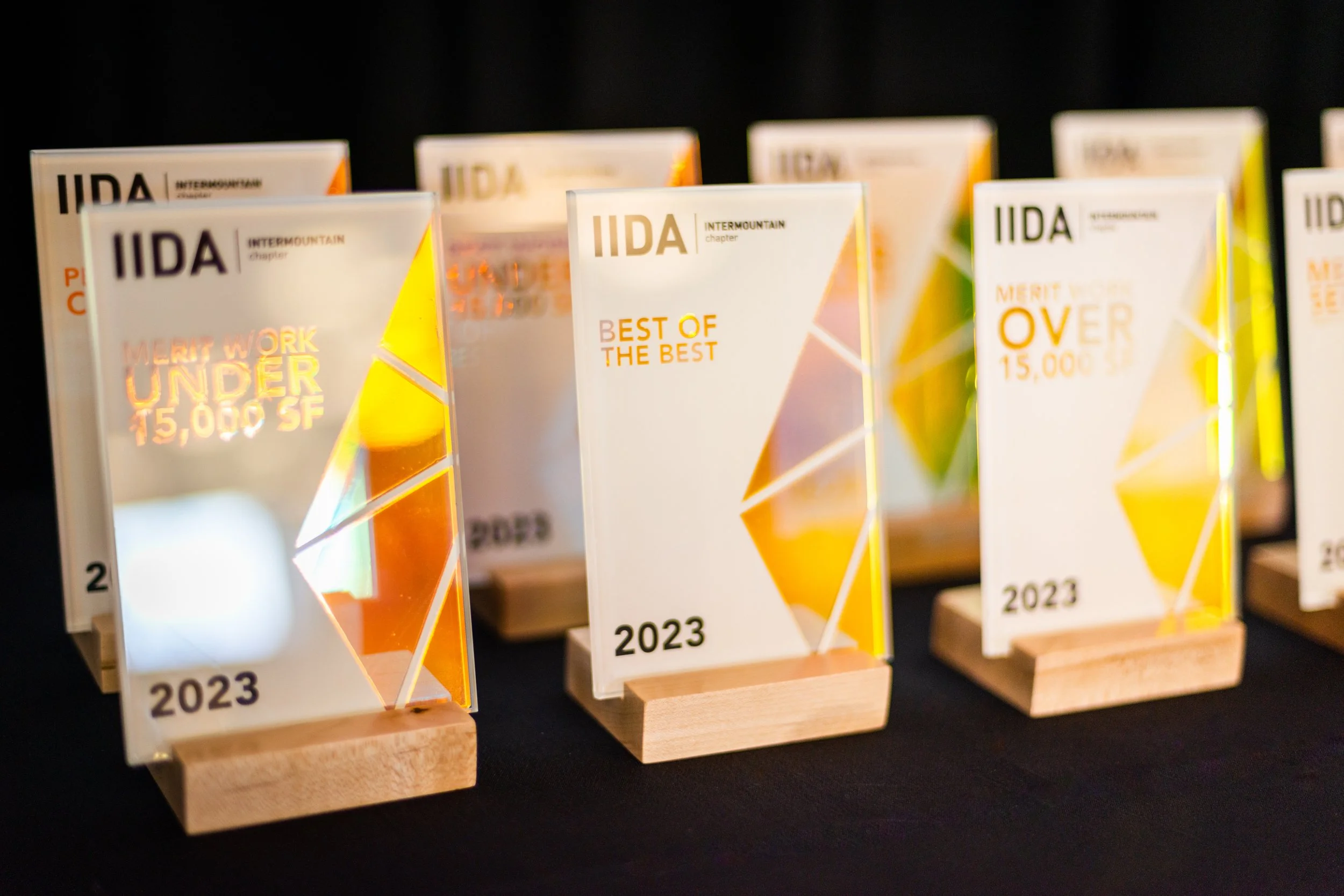 IIDA 2023 BEST Awards-5.jpg