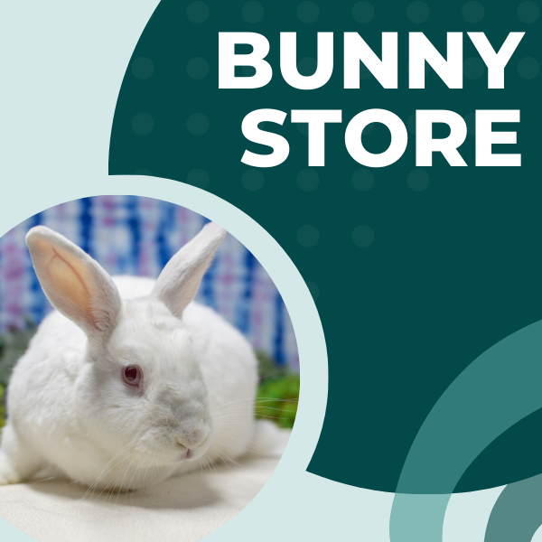 Volunteer — San Diego House Rabbit Society