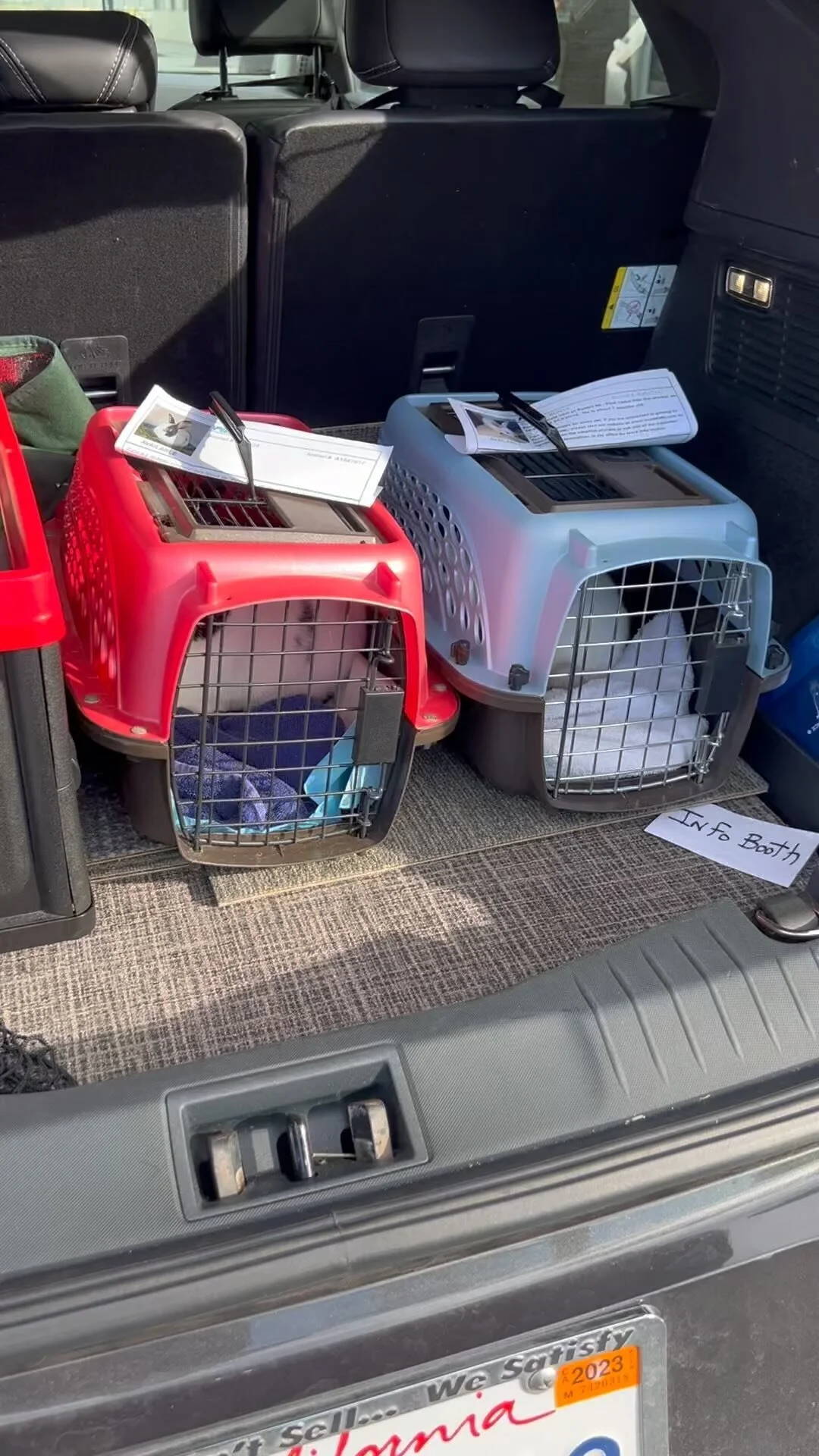 Volunteer — San Diego House Rabbit Society