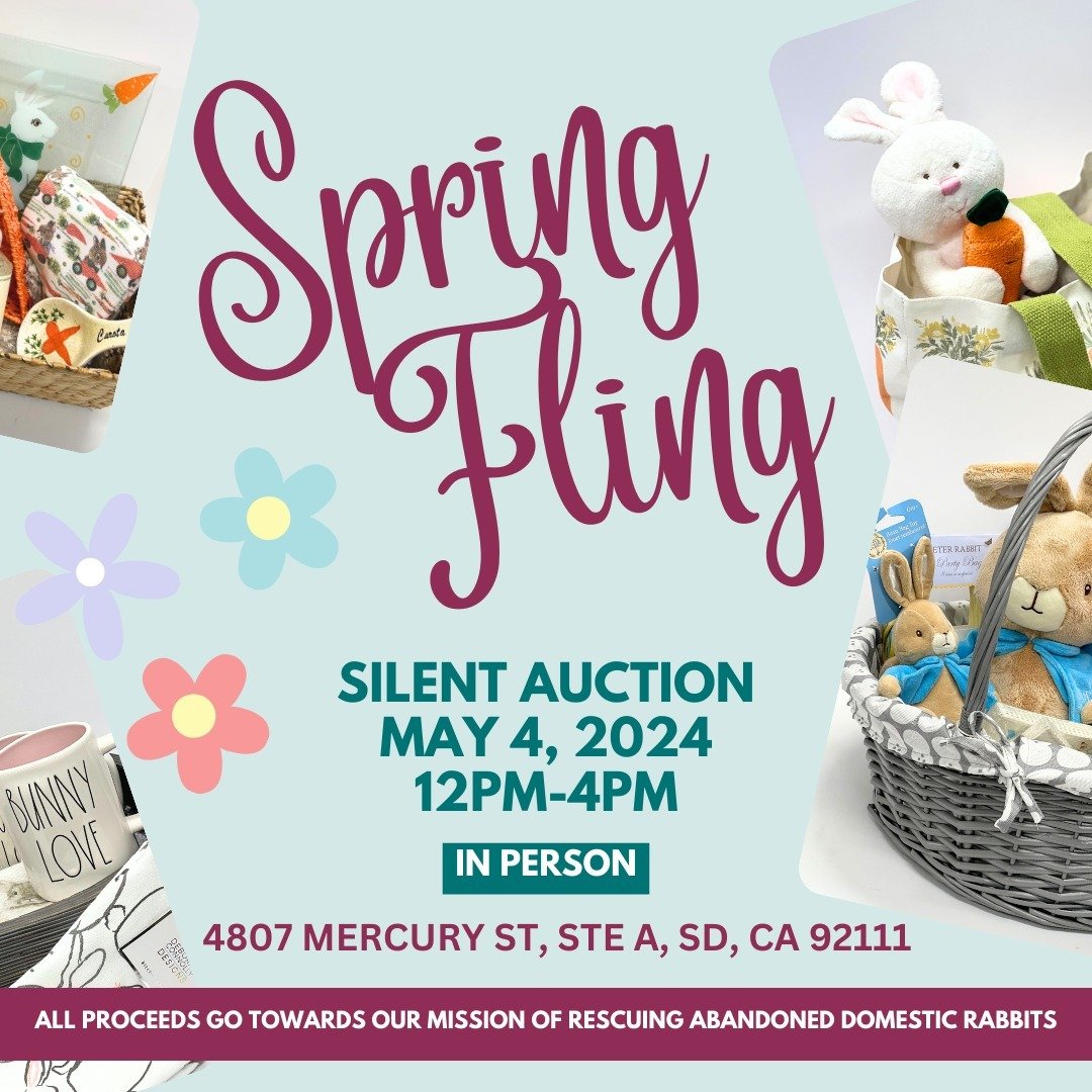 Spring Fling Silent Auction is happening TODAY from 12-4 in the courtyard of SDHRS! Join us and bid on rabbit related human items! We also have 25 cent, $1, $3, and $5 sales bin! 

Address:
4805 Mercury Street Suite A San Diego, 92111