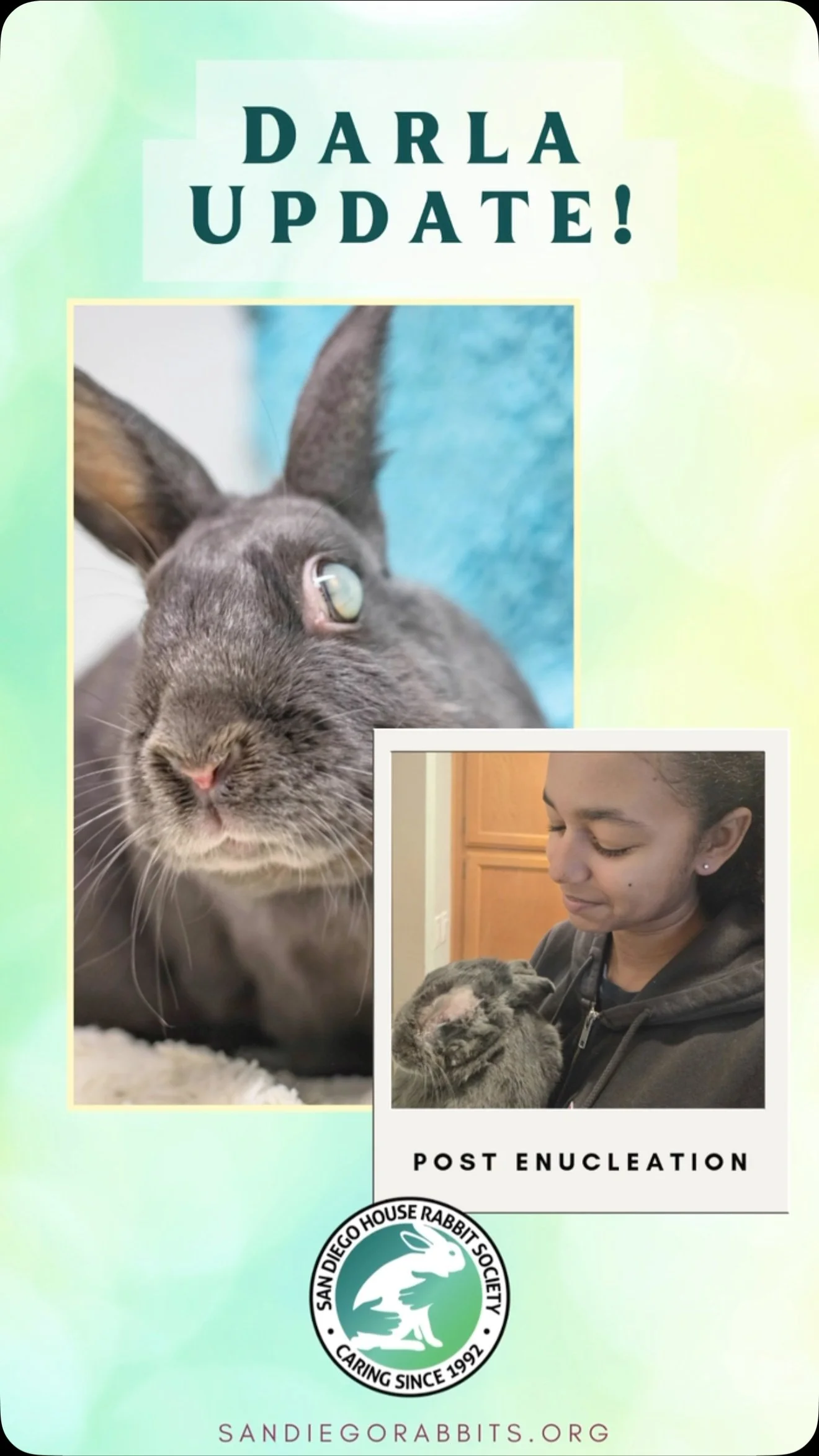 Rabbit Vet Directory — San Diego House Rabbit Society