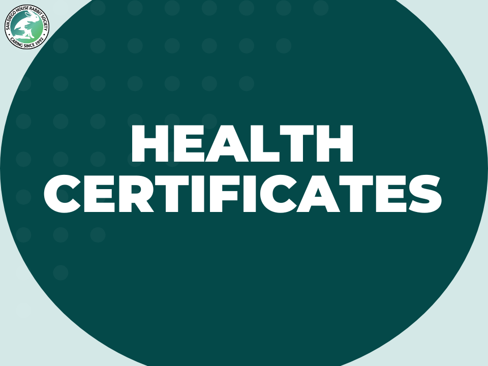 Health Certificates for Rabbits