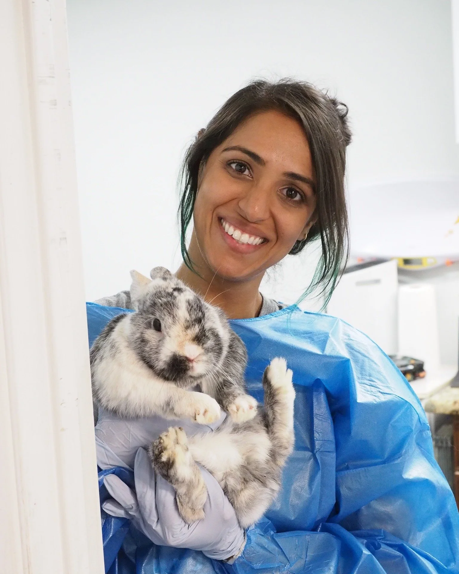 Vaccine day at SDHRS.  https://sandiegorabbits.org/services/vaccine-clinic