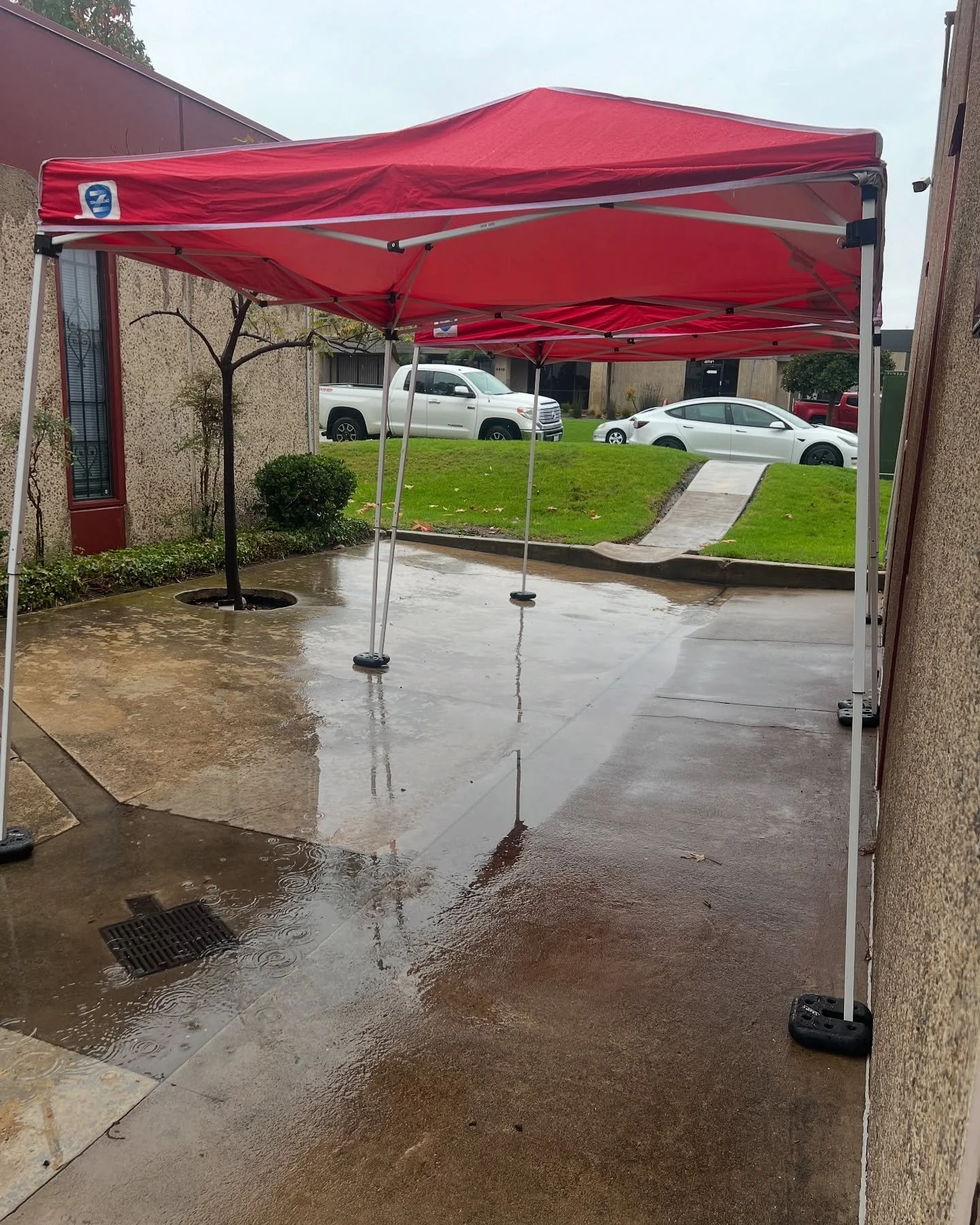 Rain or shine, we are ready for the SDHRS vaccine clinic! 

#vaccine #rabbit #sandiegorabbits