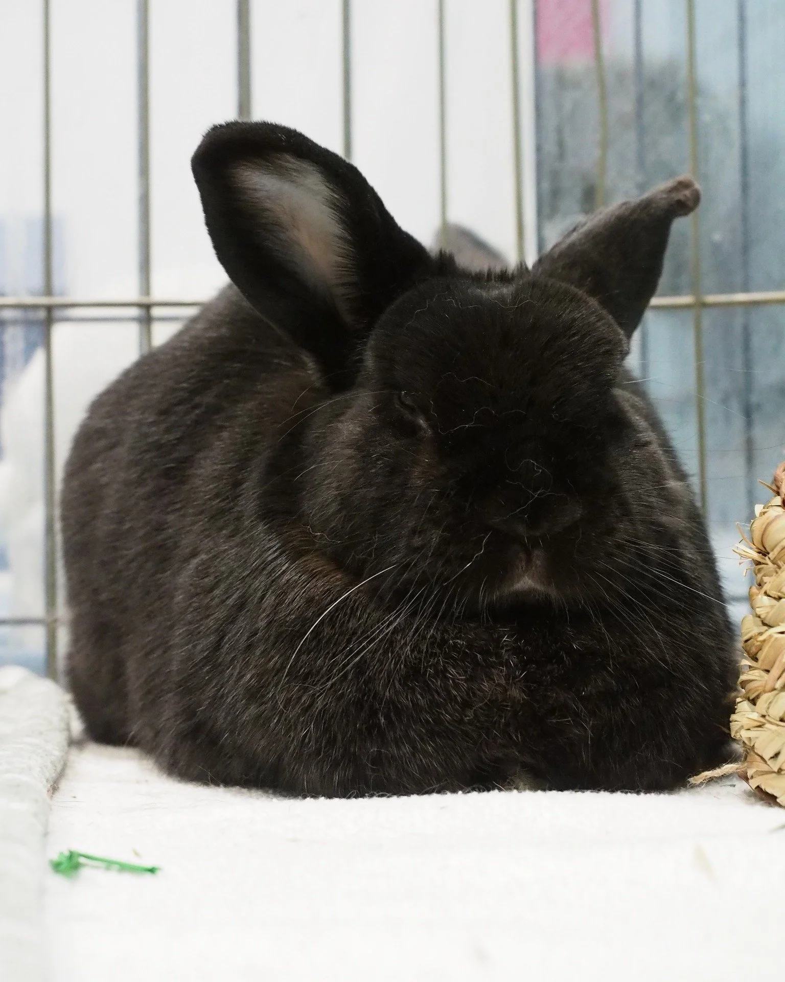 Don't forget to follow us to keep up on all that is going on.  Thank you.