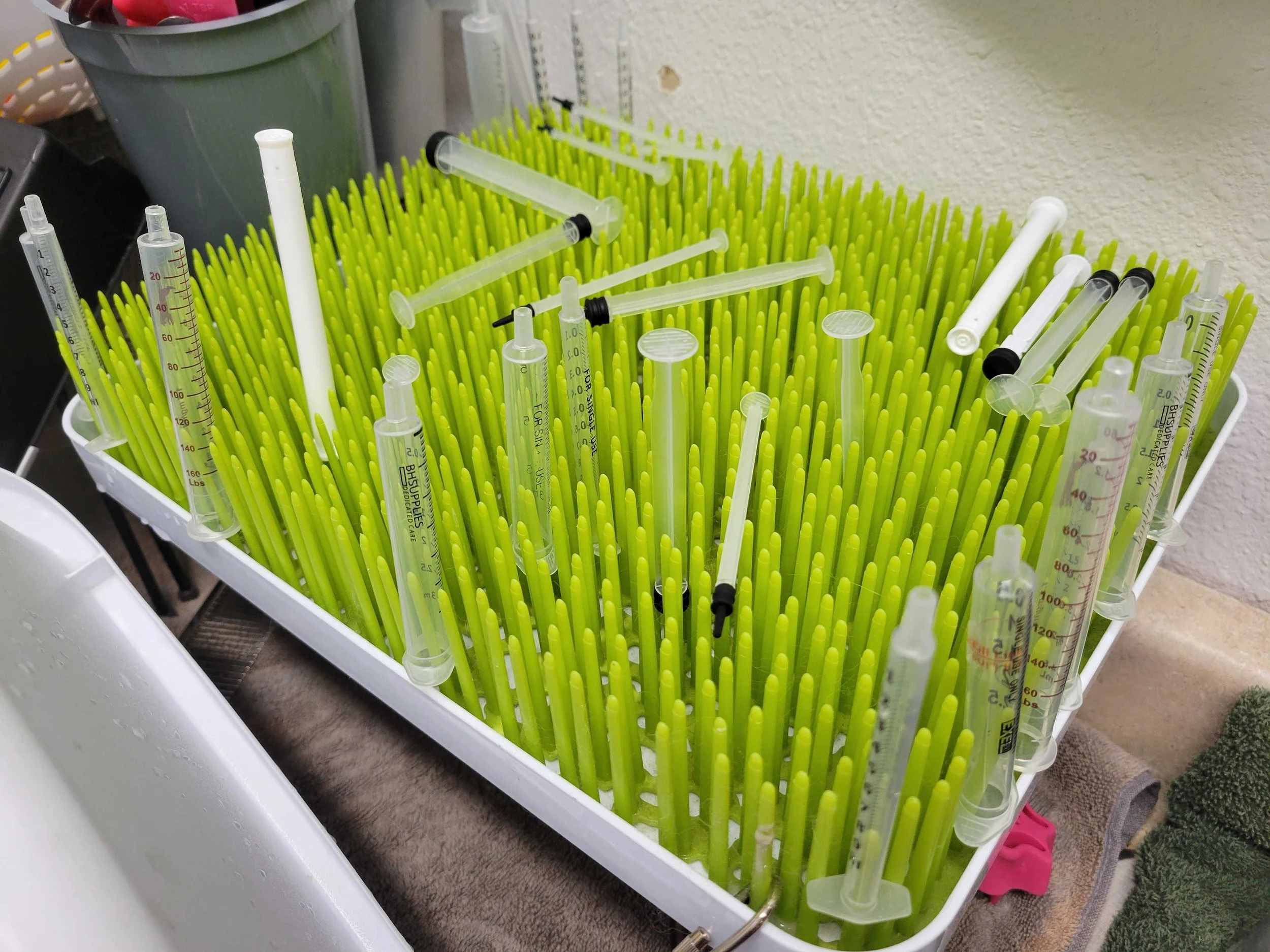 Syringes on drying rack.jpg